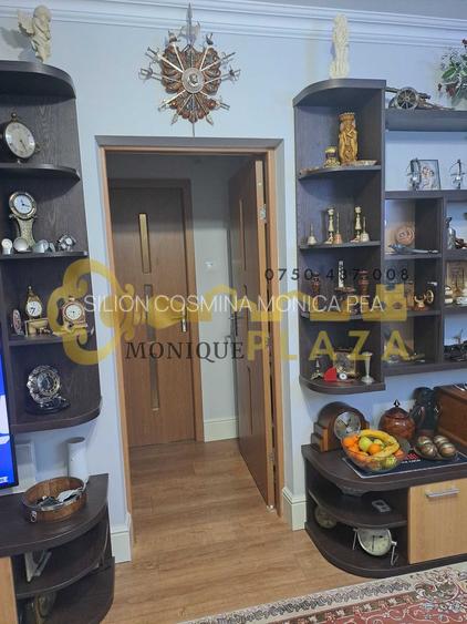 3 Camere | Zona ultracentrala | Parter | Beci | 2 intrari | Mobilat | - 6
