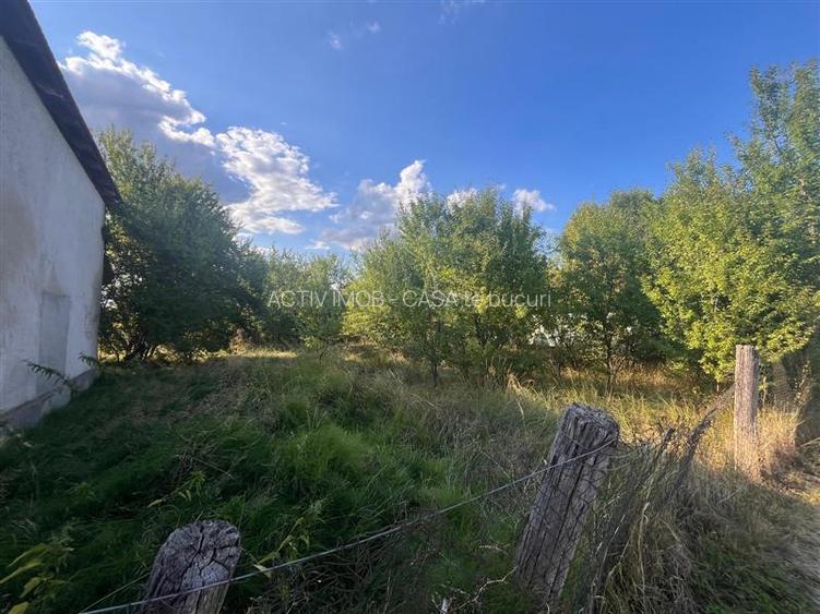 Darova, Teren Intravilan 1060 Mp., Str. Principala - 3