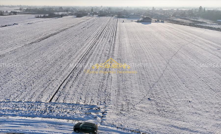 Casa demolabila + teren, 7470 mp Trestieni Ulmi - 2