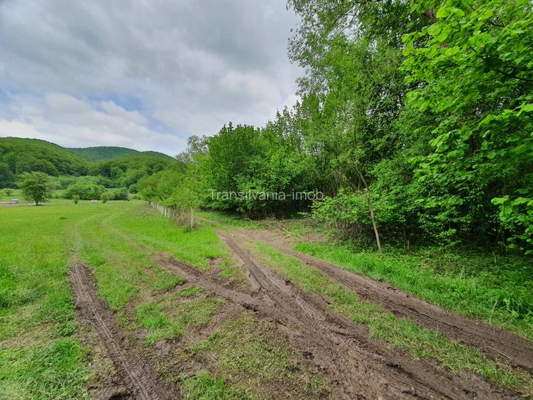Teren Rasnov – Predeal zona de pensiuni - 4
