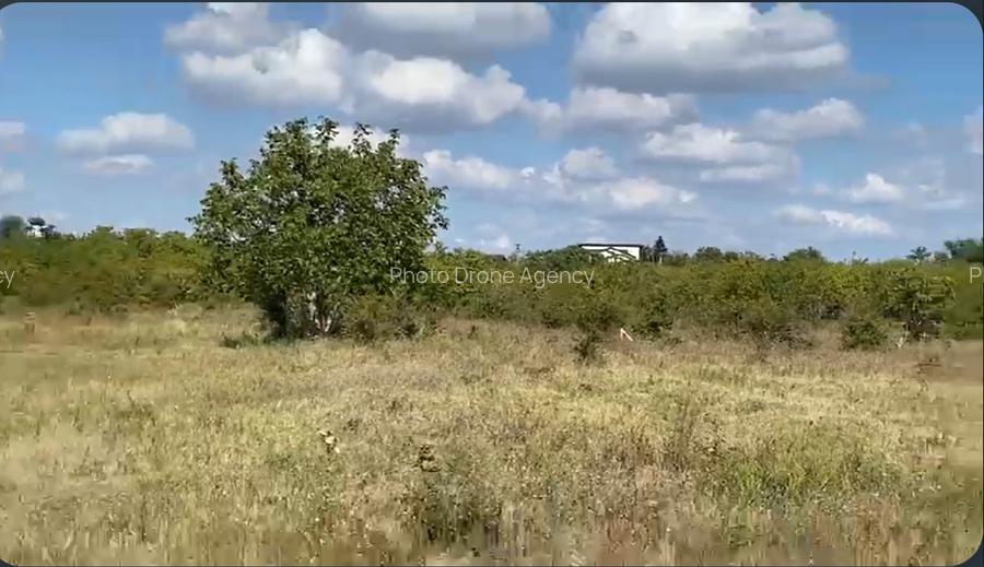 Teren Intravilan Domnești 7100mp | 12€/mp | Ideal Proiect Off-Grid & Casă Pasivă - 8