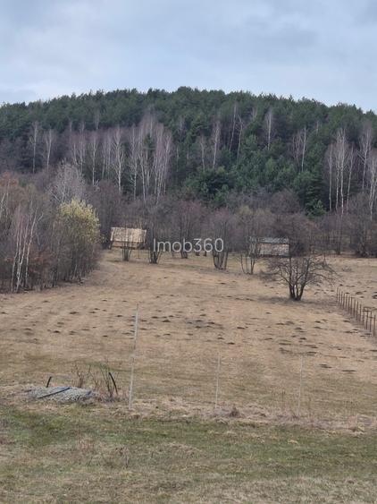 Casute vacanta cu teren 5600m2 - 8