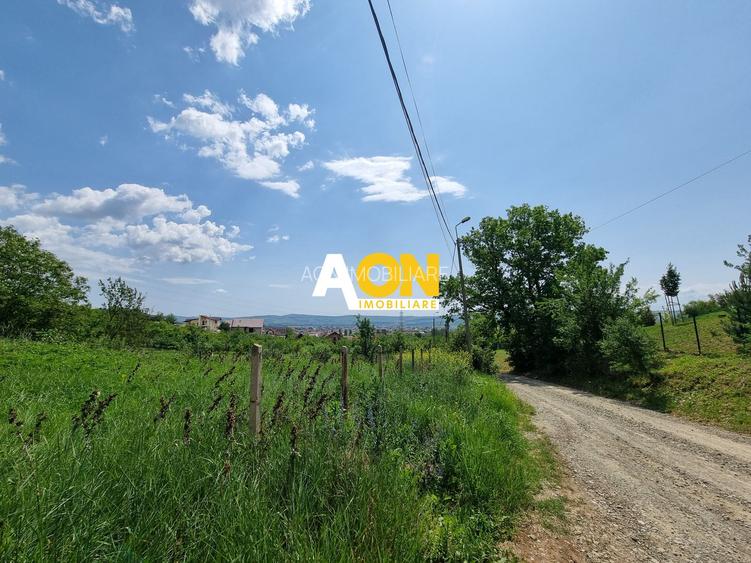 De vanzare 998 mp teren intravilan, Cetate - 2