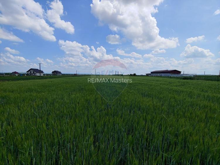 Teren intravilan 6,600mp Dumbraveni / Strada Principala spre Veresti - 15