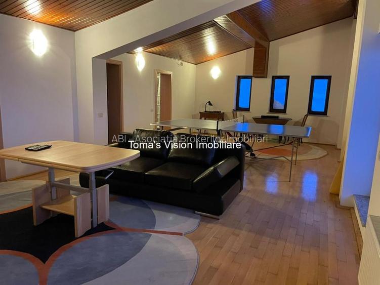 Vanzari Case / vile - 16