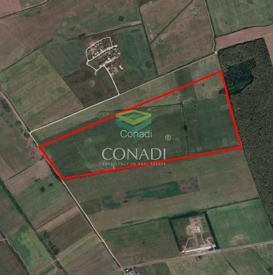 Corbeanca- Teren 45 Ha cu PUZ aprobat - 6