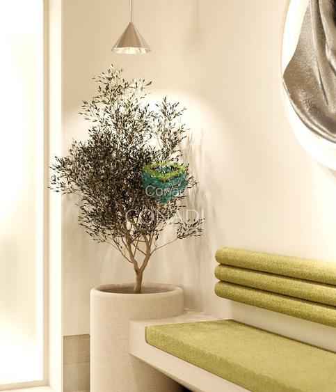 Piata Victoriei, imobil cu 5 camere de inchiriat, 214 mp construiti - 3