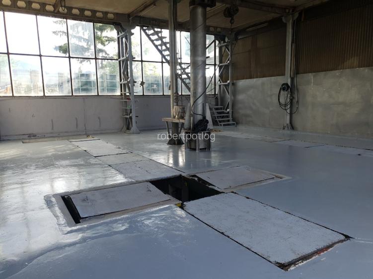 Hala industriala de inchiriat pe Calea Bucuresti folosinta multipla - 14