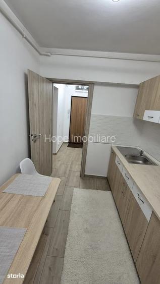 Giurgiului-Apartament de 2 camere-renovat - 5