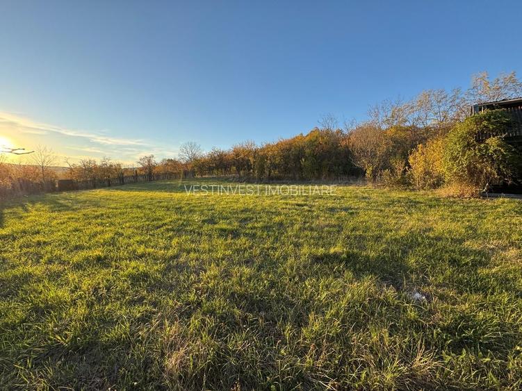 Teren intravilan 3323 Husasau de Cris - 4
