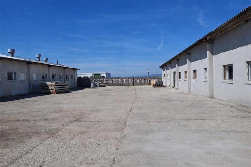 Hala industriala versatila,spatii cazare, platforma betonata,Halchiu,Brasov - 5