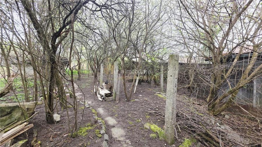 CASA 136 MP TEREN 561 MP FRONT 14 ML ZORILOR  MARINESCU - 6