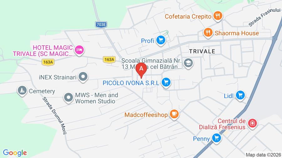 Garsoniera Trivale-Poienitei,  cf 1, parter, decomandata - 9