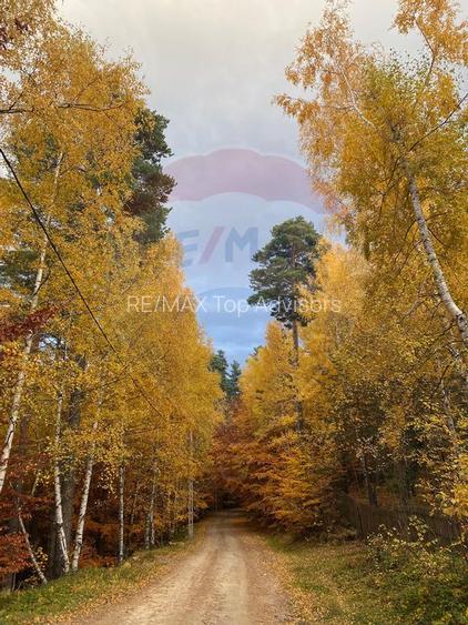 DE VANZARE Pensiune | 12 camere | Bisoca / Buzau - 24