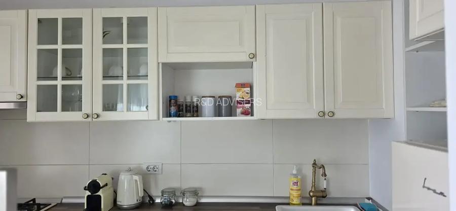 Studio Iancu Nicolae, Ambasada Americii, Gradina Zoologica | Elegant - 12