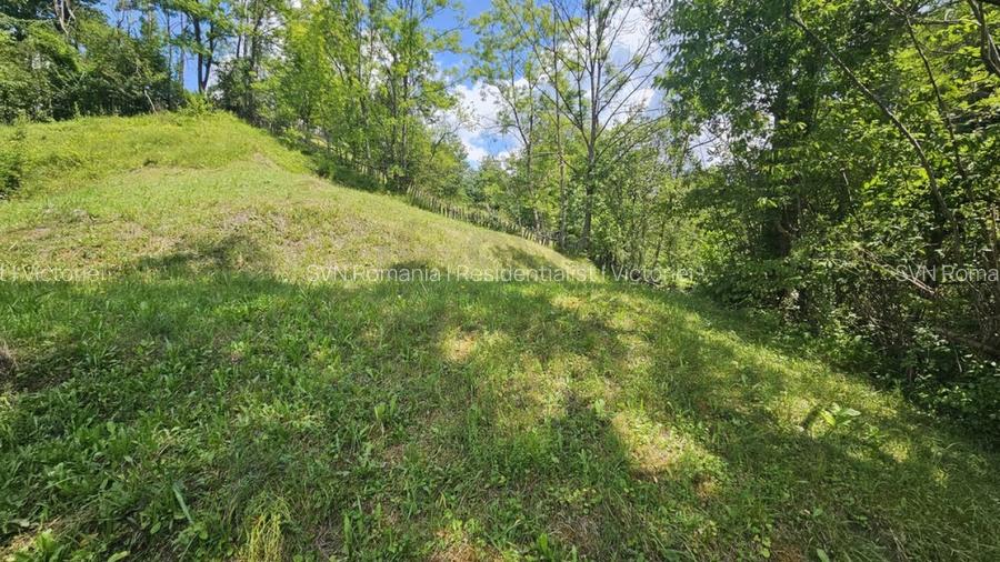 REL4001173 Teren de vanzare in Valea Doftanei - 8