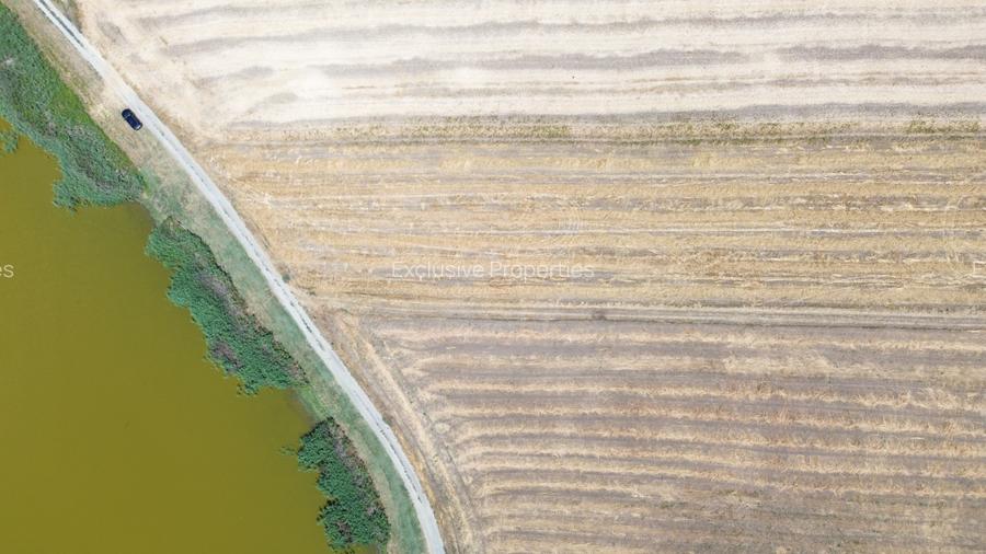 teren la lac Frumusani - 18