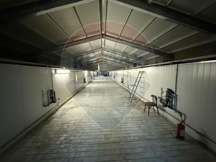 Ferma agro-industrială – 43 ha Adunații Copaceni - 27