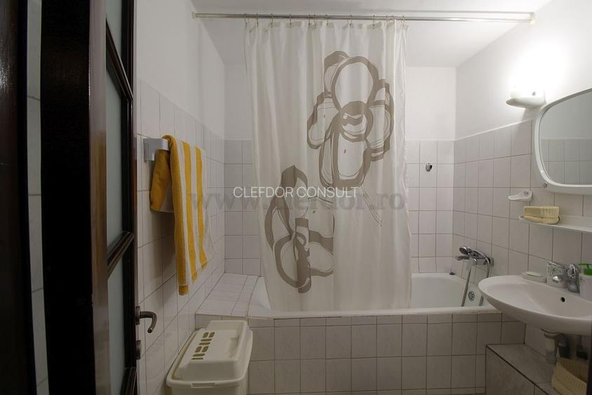 Teiul Doamnei - apartament cu 2 camere renovat 2018 - 12