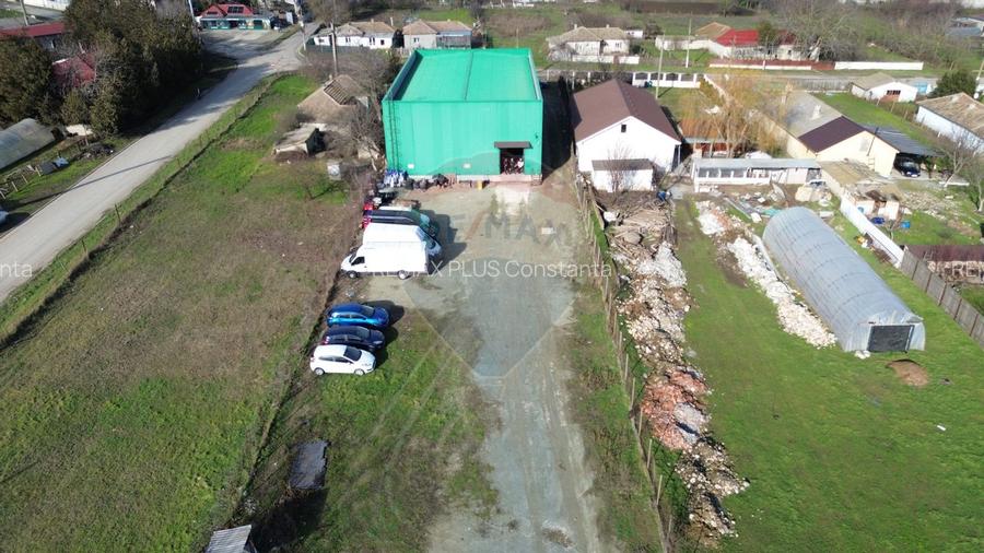 Hala industriala de vanzare in Poiana-Ovidiu - 9