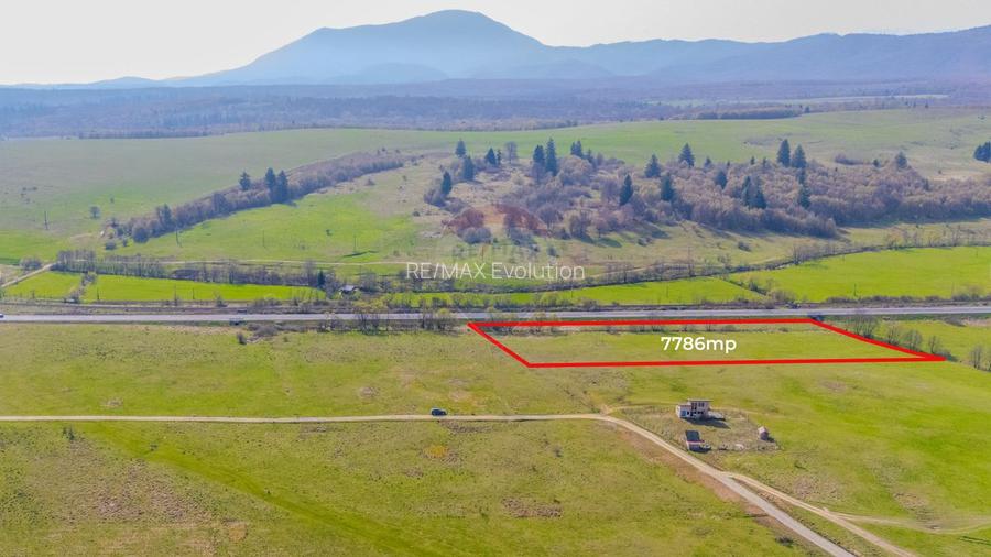 Teren 7786 mp/Curți construcții/Benzinărie - 4