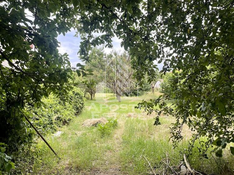 Casa de vanzare regim de inaltime P+M zona Girocului - 3