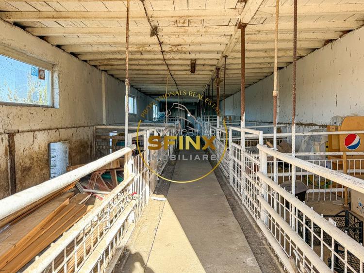 De vanzare ferma Calarasi in stare de conservare - sere - livada  - 9