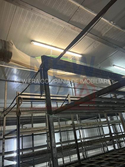 DE VANZARE Platforma cu  2 hale de 2074 mp amplasate pe un teren de 8762 mp - 8