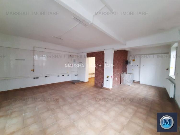 Vila cu 11 camere de vanzare, zona Gheorghe Doja, 237.7 mp #16106 - 10