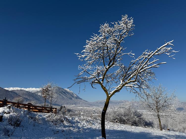Teren intravilan loturi intre 500 si 1000 m la 5 km de Moieciu - 10