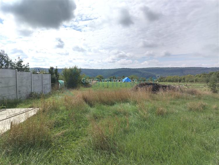 Teren intravilan de vanzare in Betfia, Bihor - 4