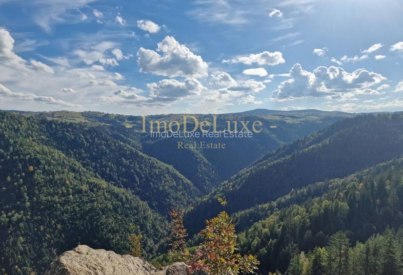 Teren extravilan, 3.4 hectare, priveliste, padure, utilitati, in Marisel - 3