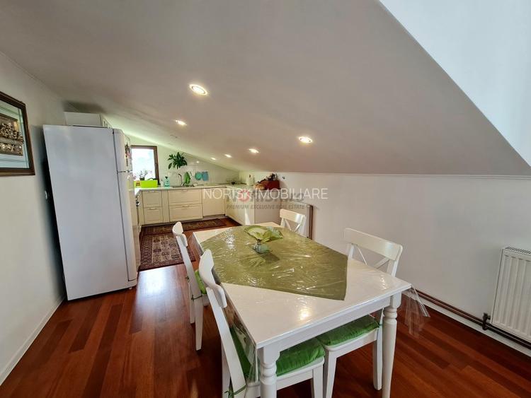 Vila + Afacere 15.000mp Clinceni - 16