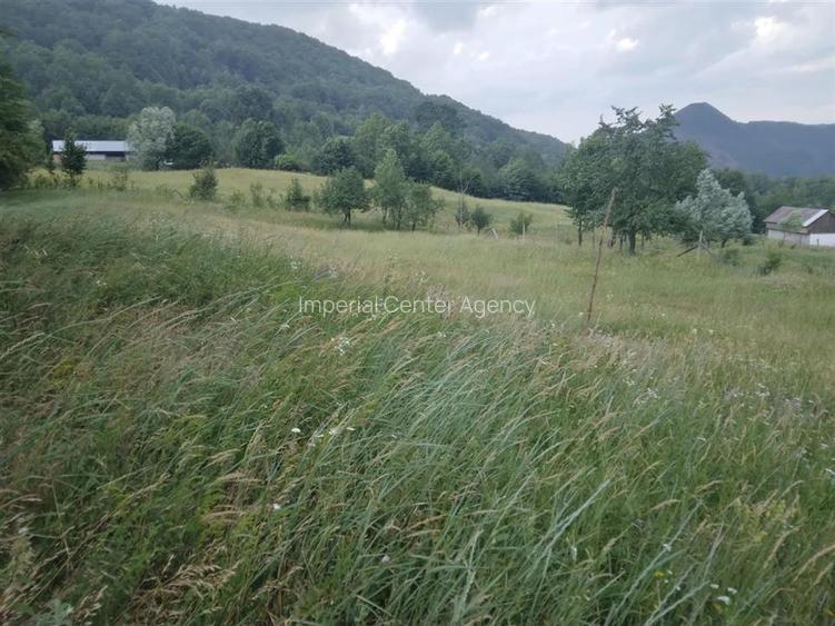 TEREN 2695 MP de vanzare in Statiunea TG OCNA - 4