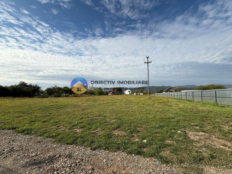 Teren de vanzare 1800 mp – Dumbrava Rosie - 5