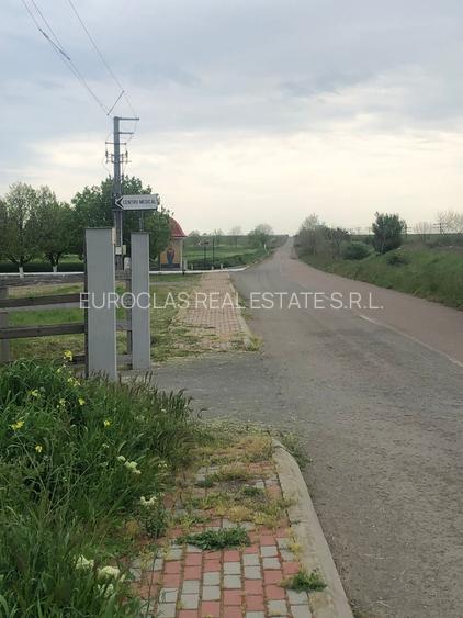 Teren 17.000mp Costinesti - zona Manastire - 100 euro/mp (Cod E2) - 10