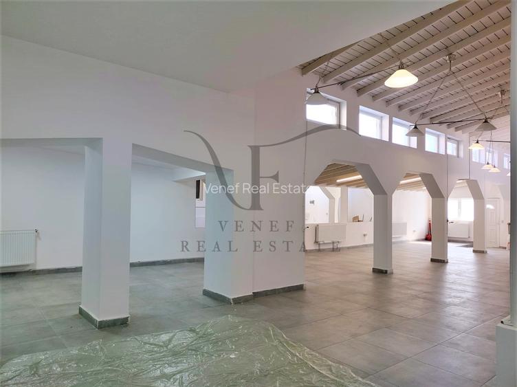 Vila 9 camere 3 grupuri sanitare 1 terasa 354 mp Vasile Lascar Stefan cel Mare - 12