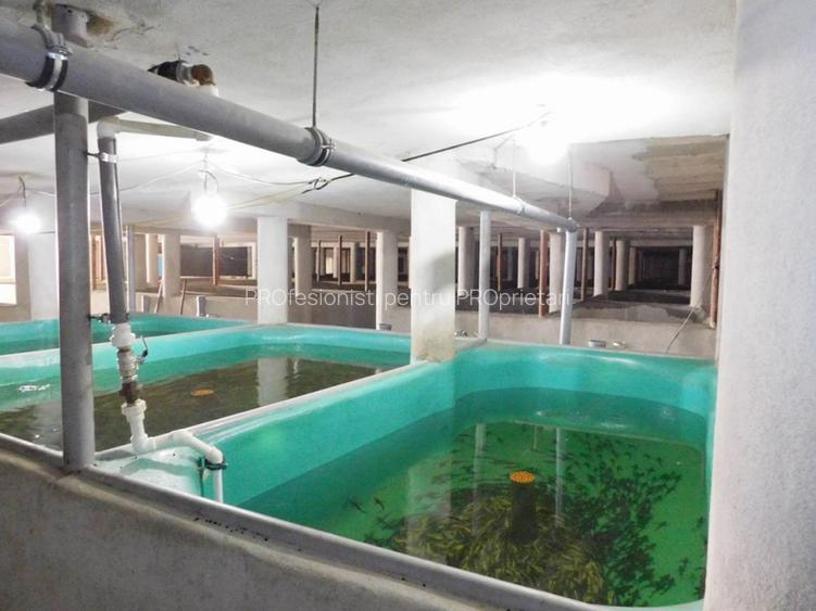 COMISION 0% Oportunitate de afacere/acvacultura in sistem RAS/3150 mp/Cisnadie - 2