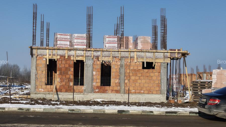 Vile individuale padurea Rosu  - 2