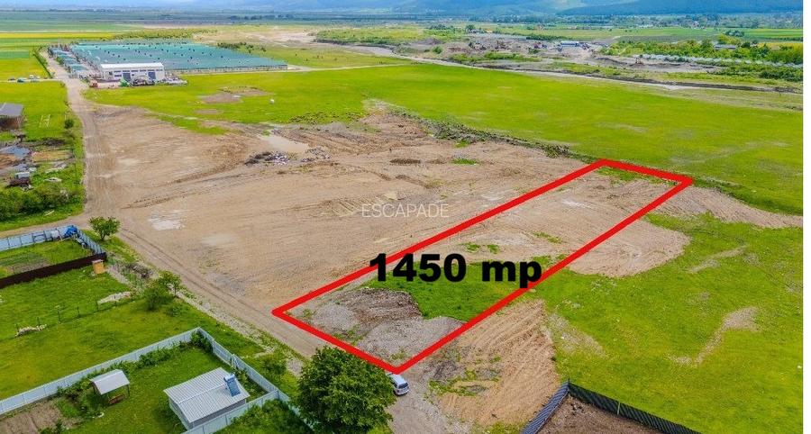 Teren intravilan 1450 mp – Carpiniș , Ideal pentru casă de locuit - 2