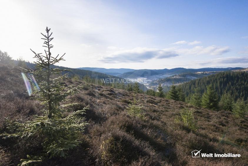 Se vinde teren cat un munte in Apuseni - Poiana Horea - 3