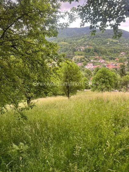 TEREN DE VANZARE VALEA DOFTANEI - 3