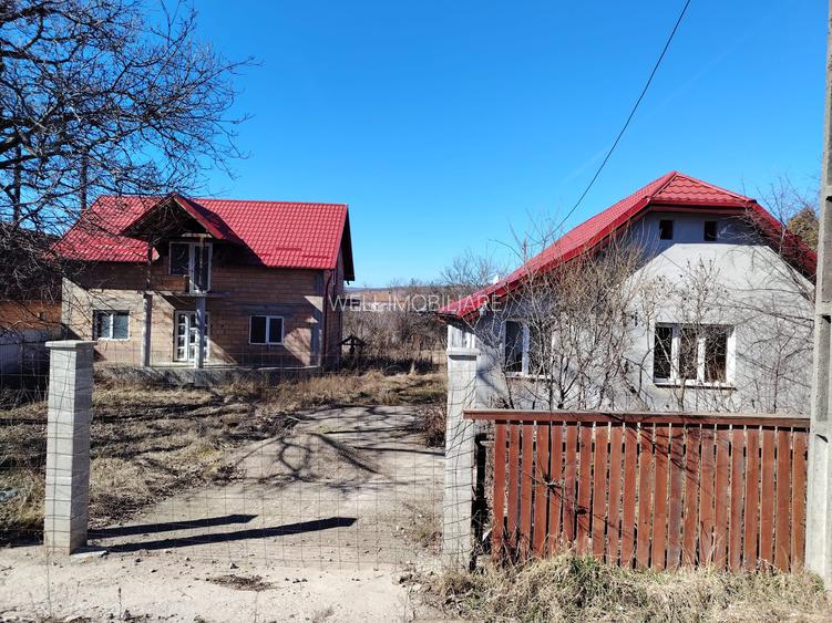 Proprietate de vânzare formată din două case, în Moacșa! - 10