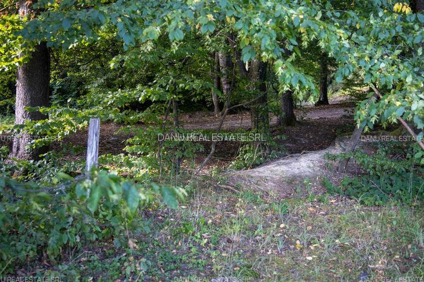 Teren Intravilan 3.300 mp in fata lacului  – Vulcan Brasov - 16