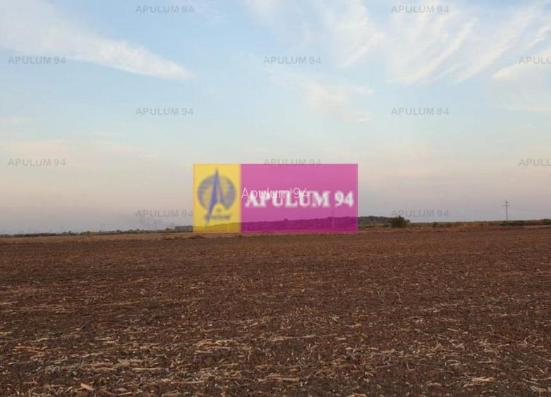 Teren construcție casă - 1 Decembrie - Zona Metropolitană București - 37