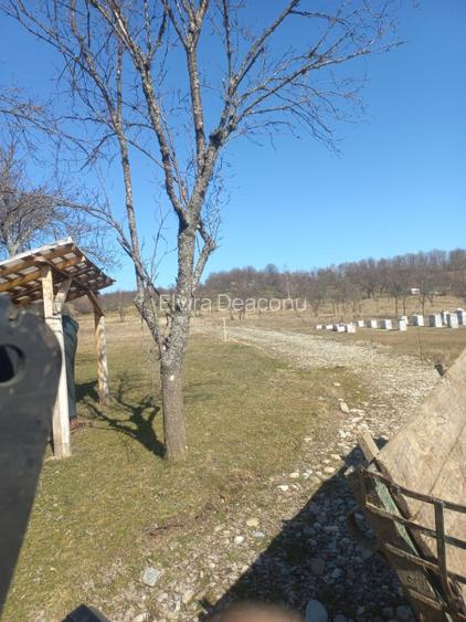 Vind teren intravilan in com .Corbi  sat Poinarei  jud.Arges, - 3