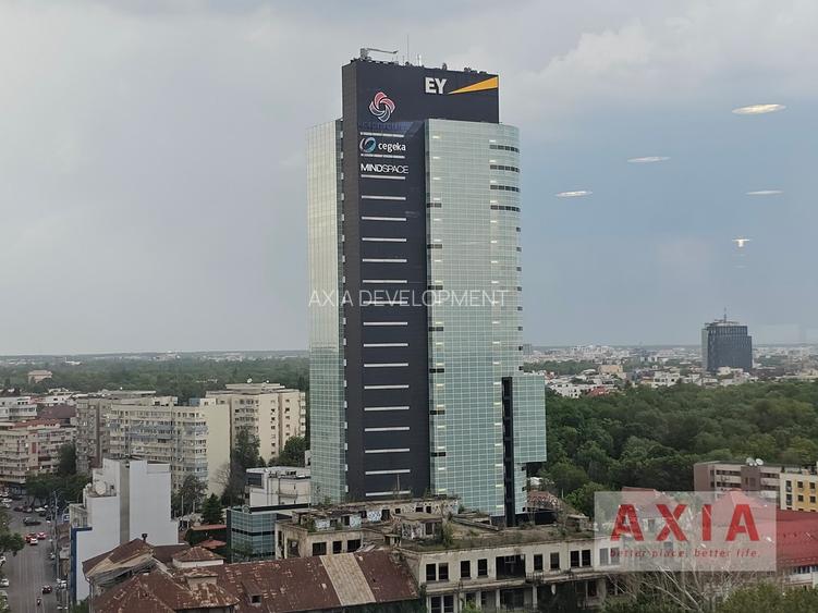 Birou premium in zona Piata Victoriei - 11