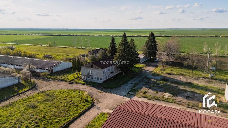 De vanzare Complex Zootehnic Suine Jud. Arad SU 15.30ha, Ferma, Grajd - 8