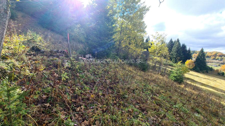 TEREN INTRAVILAN-EXTRAVILAN SPECTACULOS LANGA RESORTUL CHEILE GRADISTEI -FUNDATA - 12