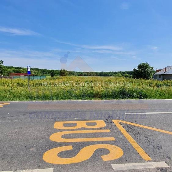 Vanzare teren intravilan Ciolpani, 1500 mp, toate utilitatile - 5